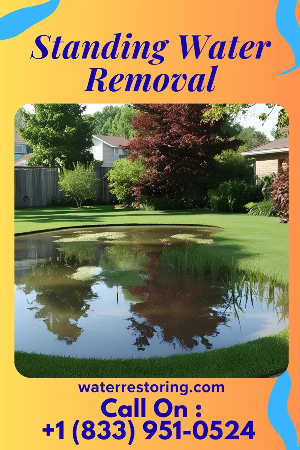 Standing Water Removal in Lawson, MO